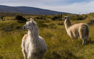 Voyage en Equateur Voyage en Equateur
