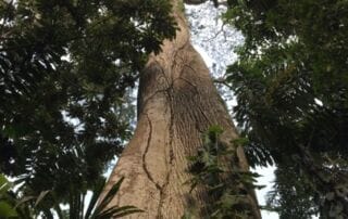 Voyage en Equateur Voyage en Equateur