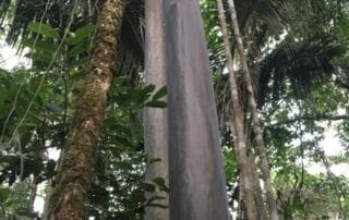 Voyage en Equateur Voyage en Equateur
