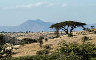 Séjour au Kenya dans un camp Maassaï Séjour au Kenya dans un camp Maassaï