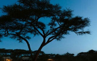 Séjour au Kenya dans un camp Maassaï Séjour au Kenya dans un camp Maassaï