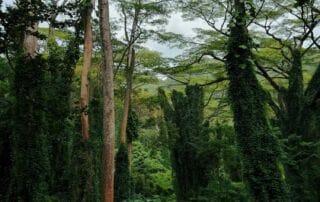 Séjour au Kenya dans un camp Maassaï Séjour au Kenya dans un camp Maassaï