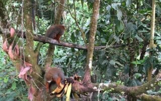 Voyage en Equateur Voyage en Equateur
