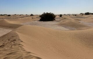Trek dans le désert marocain au cœur du Sahara Trek dans le désert marocain au cœur du Sahara