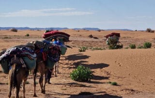 Trek dans le désert marocain au cœur du Sahara Trek dans le désert marocain au cœur du Sahara