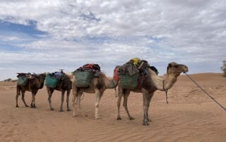 Trek dans le désert marocain au cœur du Sahara Trek dans le désert marocain au cœur du Sahara