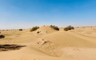 Trek dans le désert marocain au cœur du Sahara Trek dans le désert marocain au cœur du Sahara