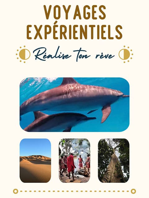 Voyages expérientiels