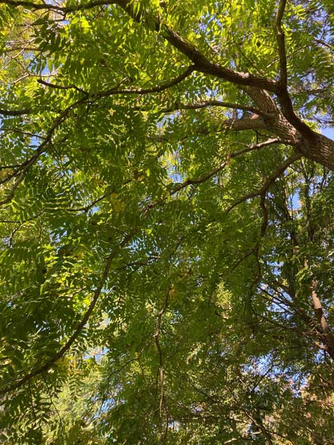 Le Printemps : conseils de saison
