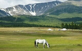 Site Mongolie 2 Immersion pleine nature