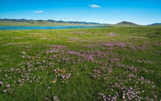 Immersion en Mongolie entre nature et nomadisme Immersion en Mongolie entre nature et nomadisme