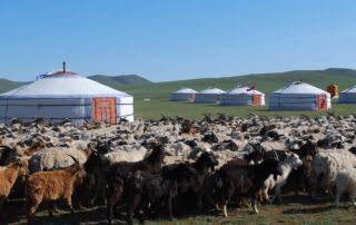 Immersion Mongolie Immersion en Mongolie entre nomadisme et chamanisme